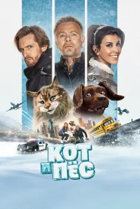  Кот и пёс 